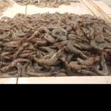 

Udang Ukuran sedang 500gr