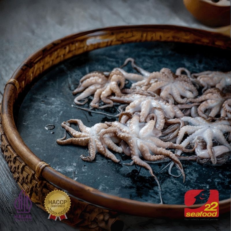 

Baby Octopus 500 gram / Baby Gurita / Seafood 22