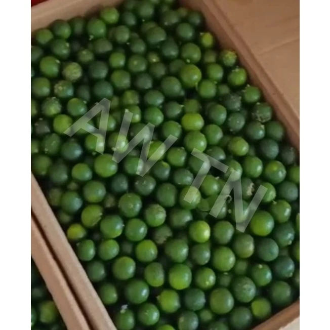 

QUEEN BUAH- jeruk sonkit / jeruk kasturi / jeruk sambal / lemonciu 500gr/250gr