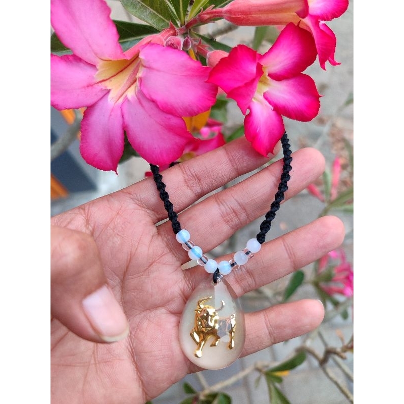 Kalung shio/ kalung shio lerbau/ kalung shio ular/ kalung Blitar/ kalung sapta pamca (tali hitam)