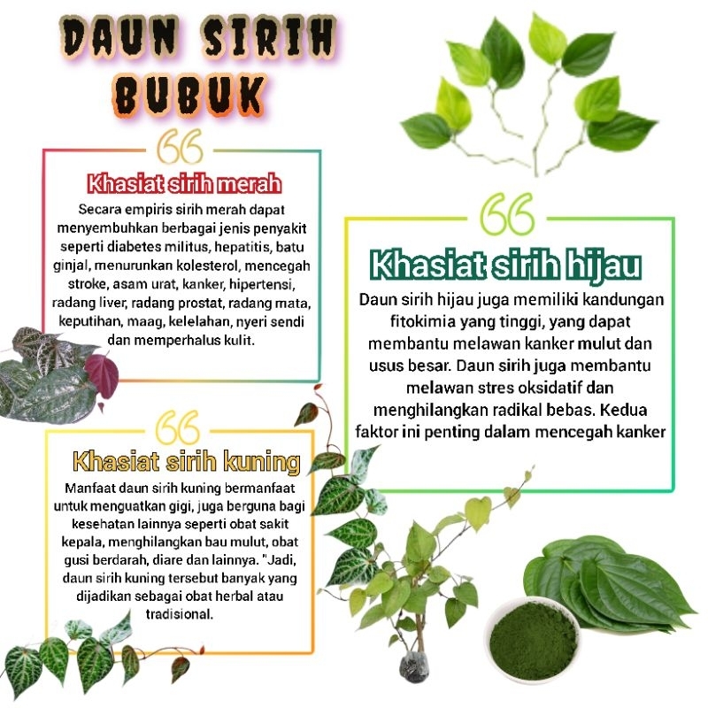 

Daun sirih bubuk sirih merah hijau kuning