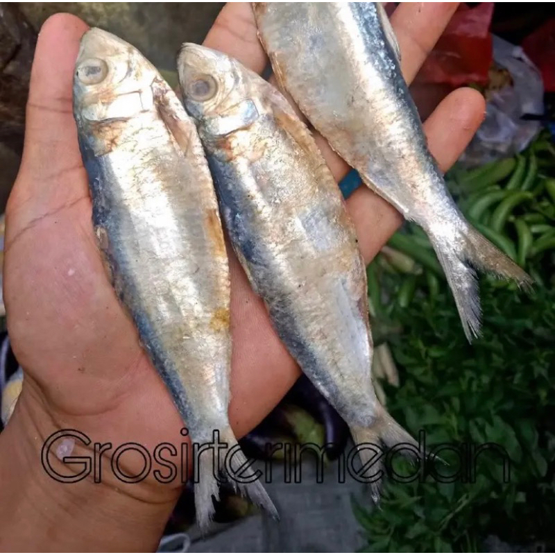

Ikan asin tamban 500 gram