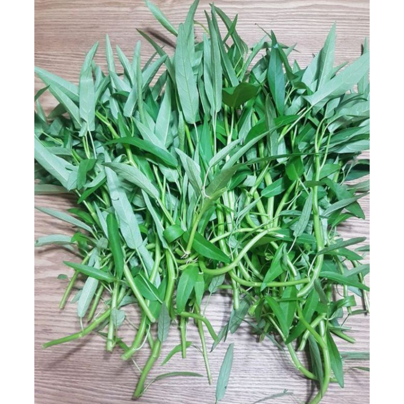 

kangkung segar