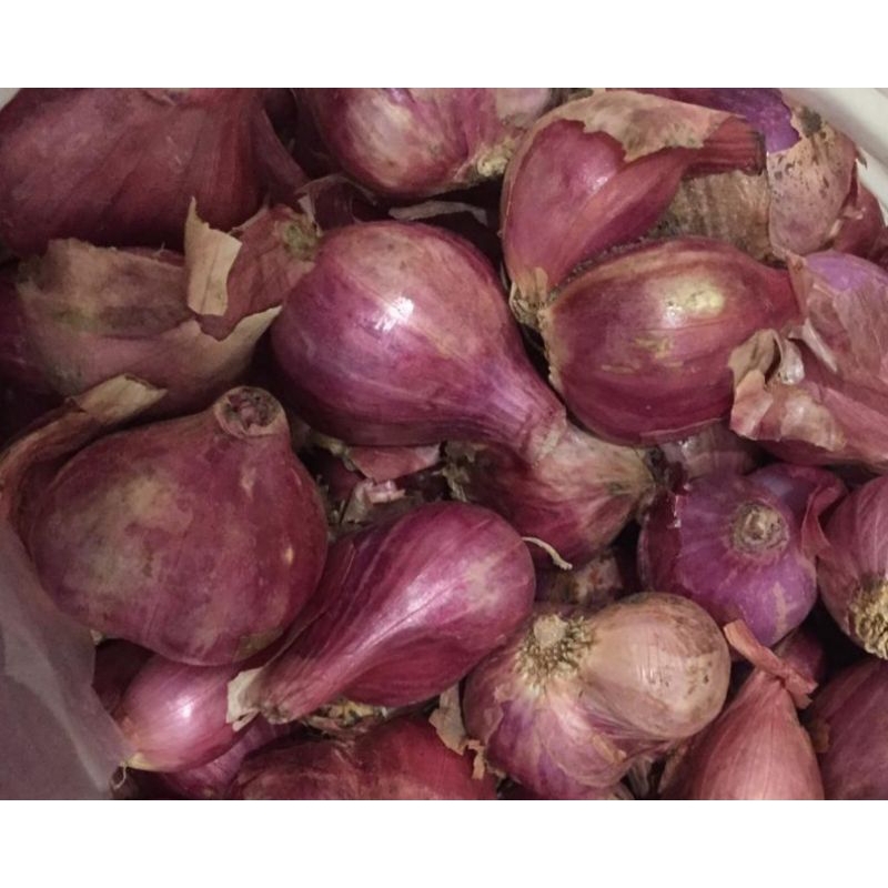 

Bawang merah Kering lokal