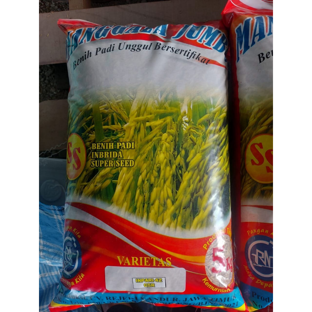 Benih Bibit Padi Varietas Inpari 42 gsr Terbaru