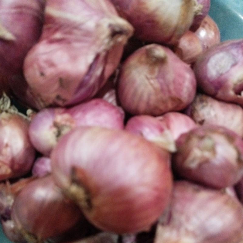 

bamer ukuran sedang 1kg