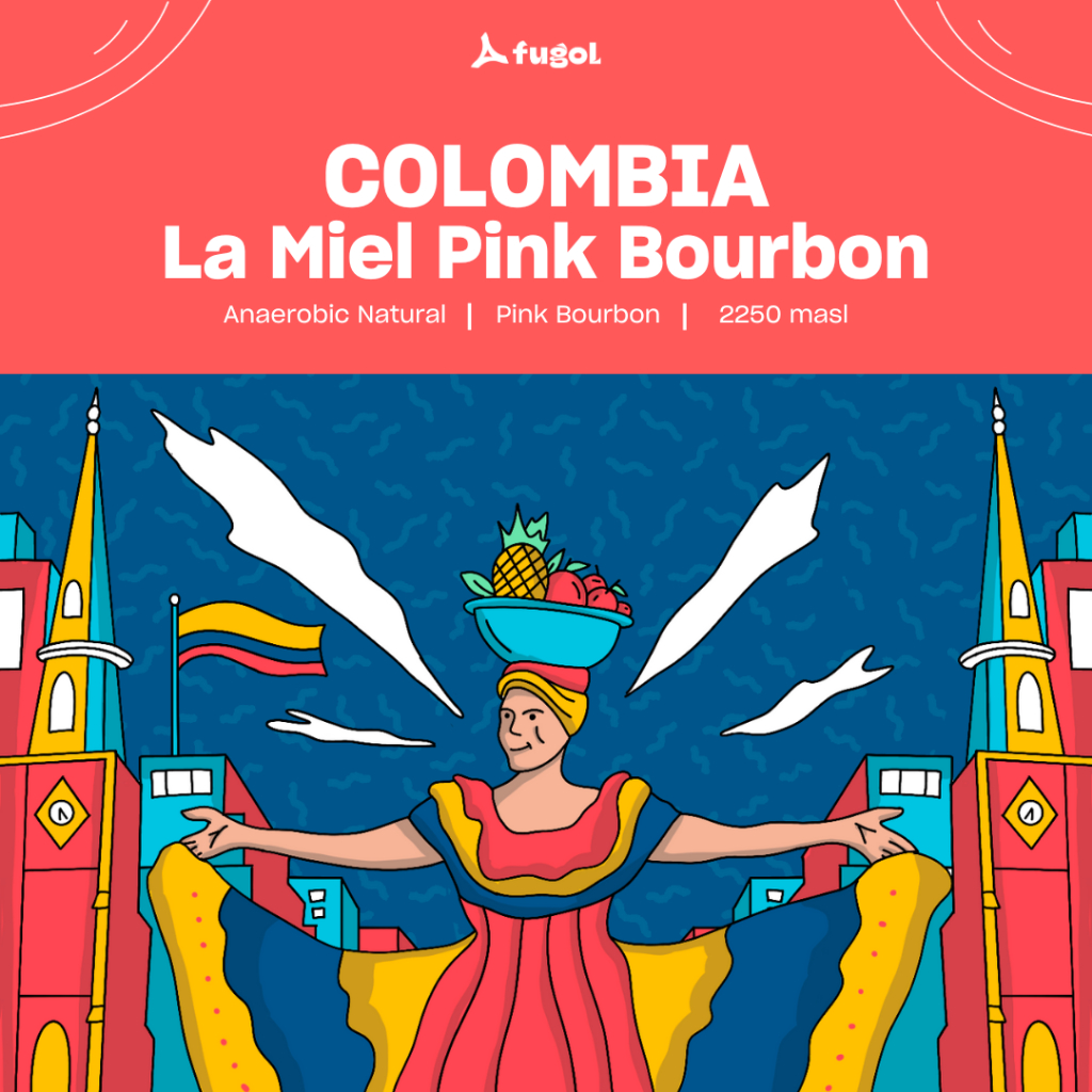 

COLOMBIA LA MIEL PINK BOURBON Specialty Arabica Coffee Beans