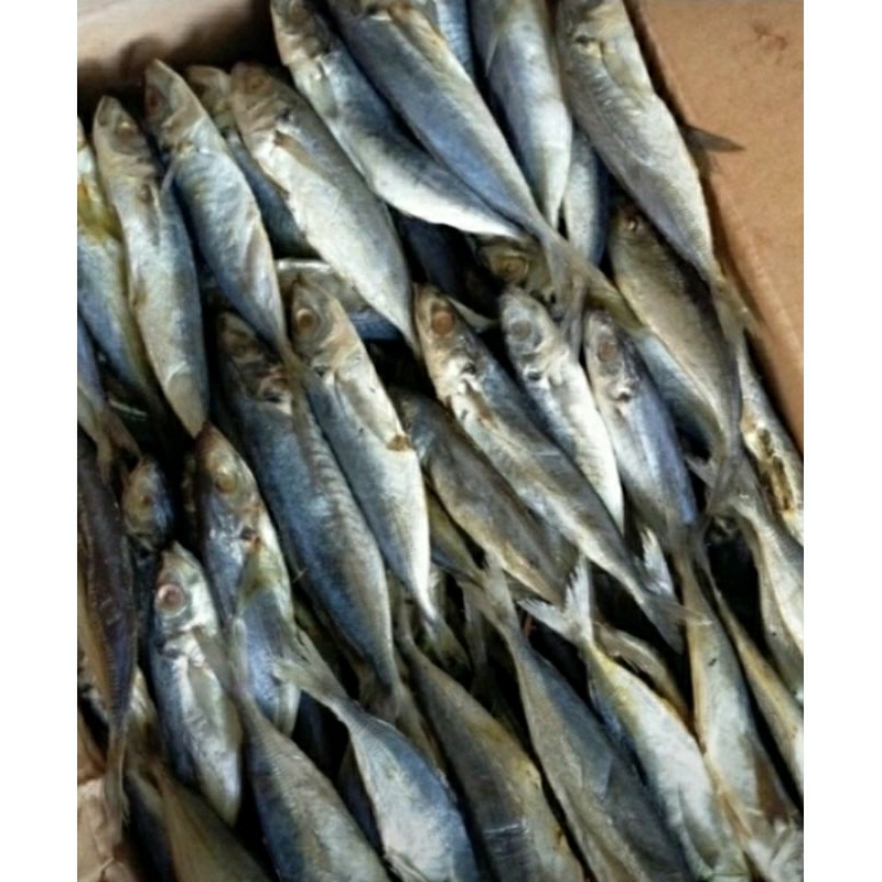 

ikan asin peda layang fresh