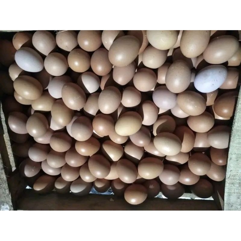 

Telur ke toko ya 1kg