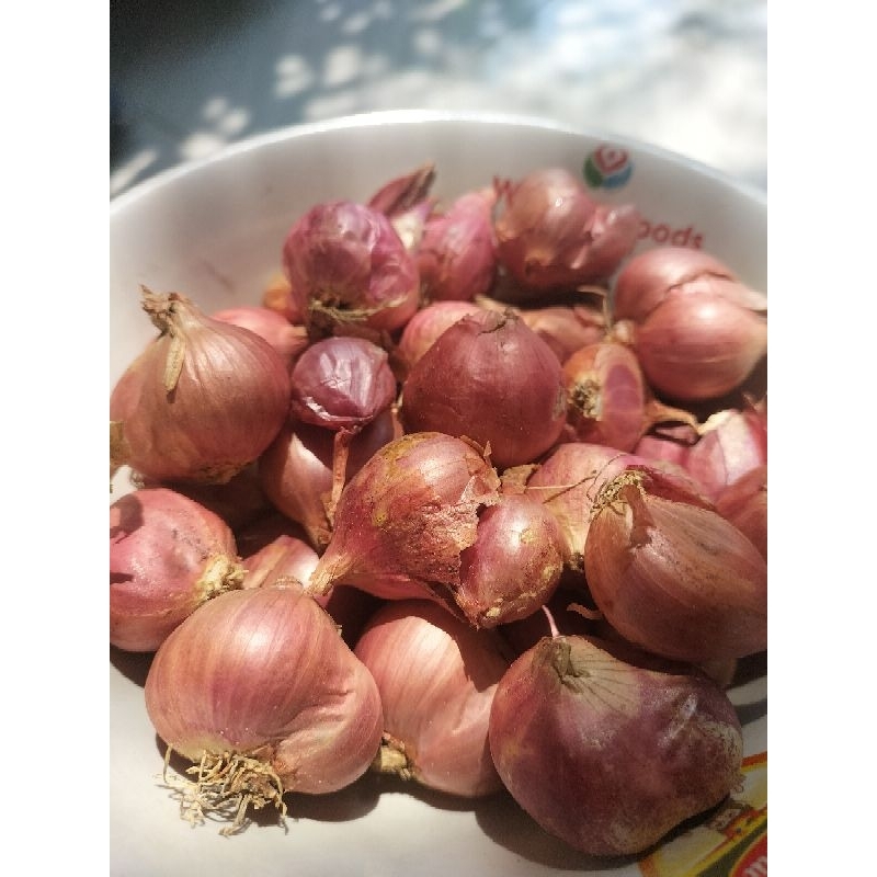 

BAWANG MERAH LOKAL KERING 1kg