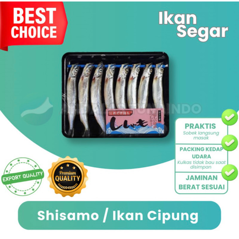 

Ikan Shisamo Premium Ikan Cipung