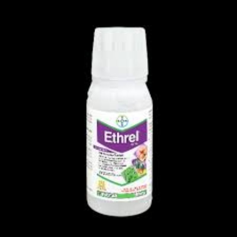 ethrel 100ml pematang buah