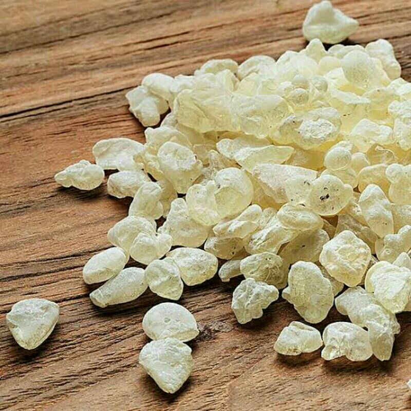 

Mastic Gum original natural Chios Yunani 25 gram