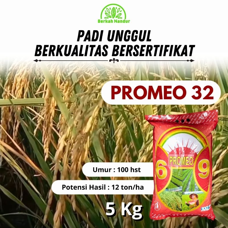 Benih Padi Inpari 32 Promeo 69 5kg