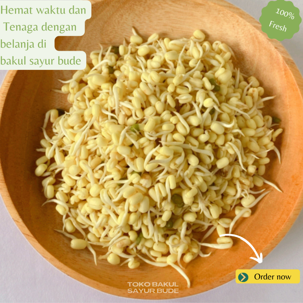 

Kecambah 500gr - Sayuran Segar - Sayuran Fresh