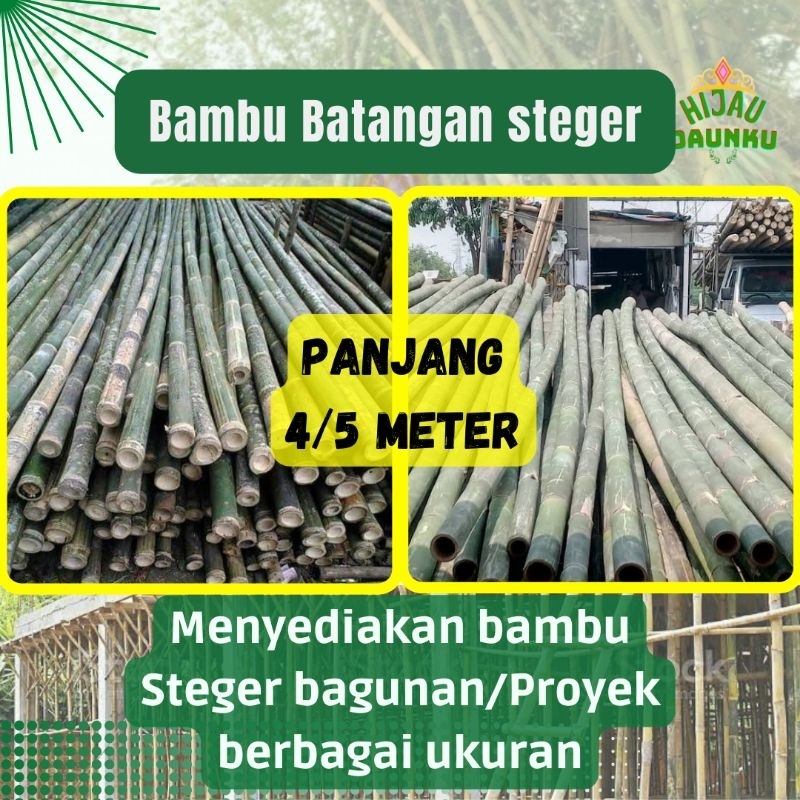 Bambu Batangan Steger Bangunan Atau Proyek Cor dan Kandang Diameter 8-10cm Minimal Order 100 Batang 