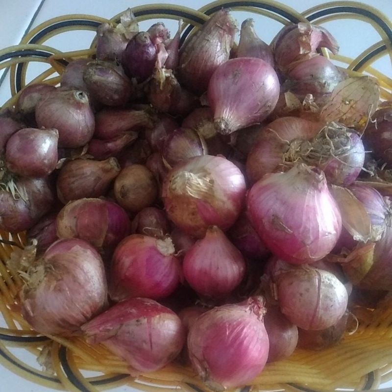 

Bawang merah 1kg