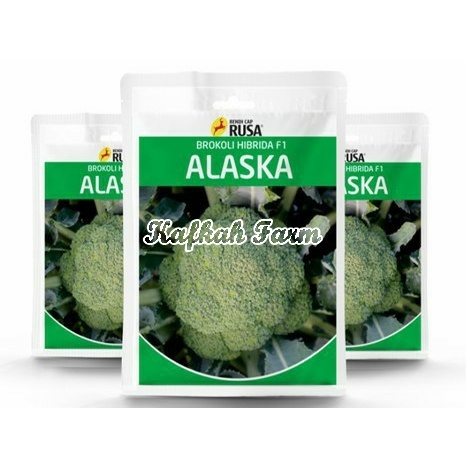 Benih 10 Biji Brokoli ALASKA F1