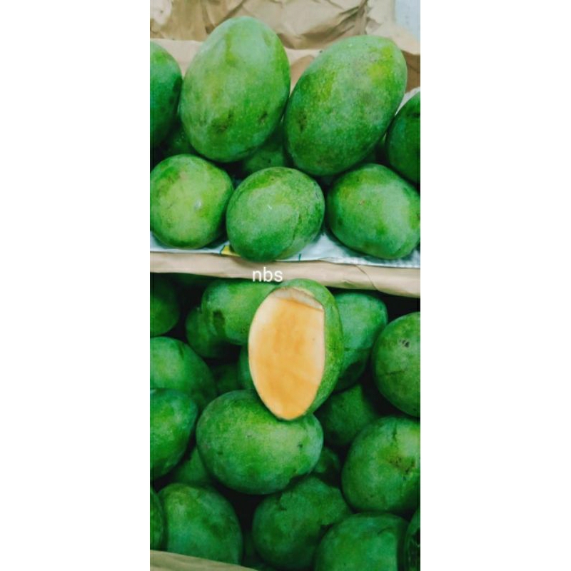 

Mangga Simanalagi