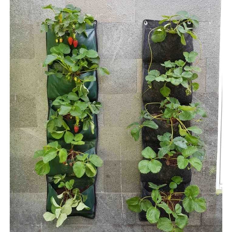 Wall Planter Bag 5 Lubang 20cm x1m Karpet Pot Vertical Garden/Wall Planter BAG Kantong Kantong EASY 