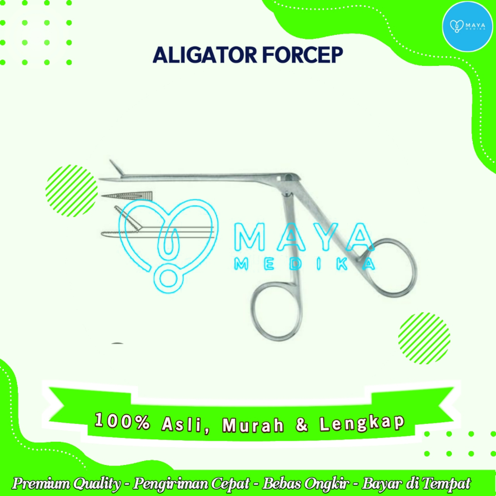 Aligator Forcep Stainless