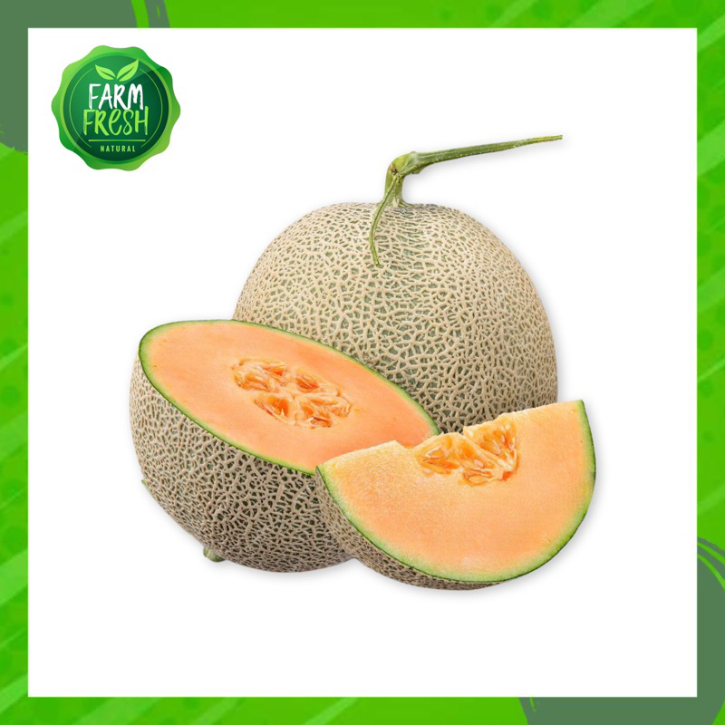 

KIRIM INSTAN Melon Rock Orange / Kuning / Per Pack