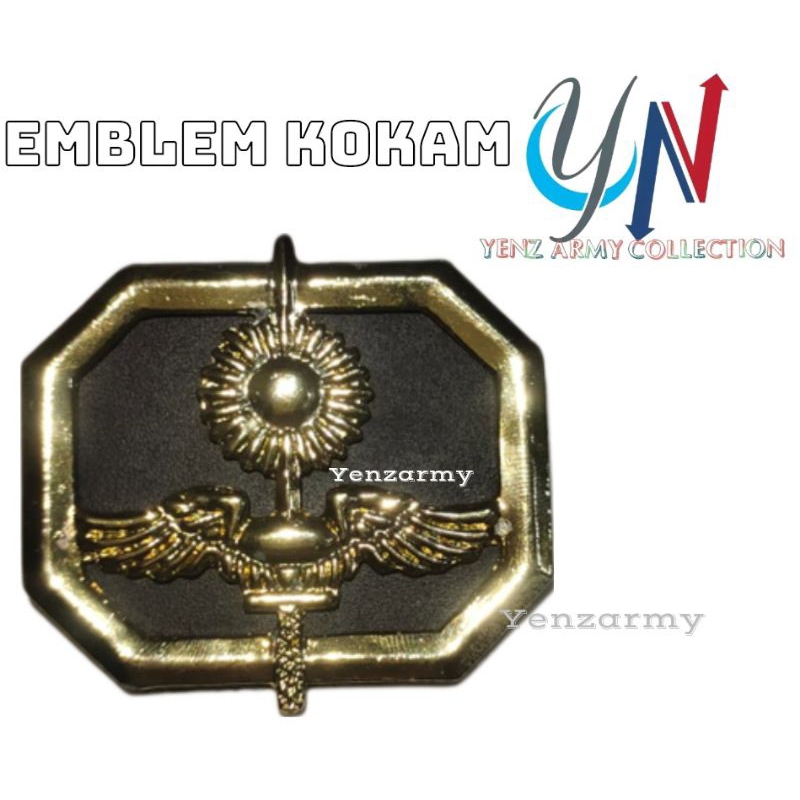 Pin wing kokam