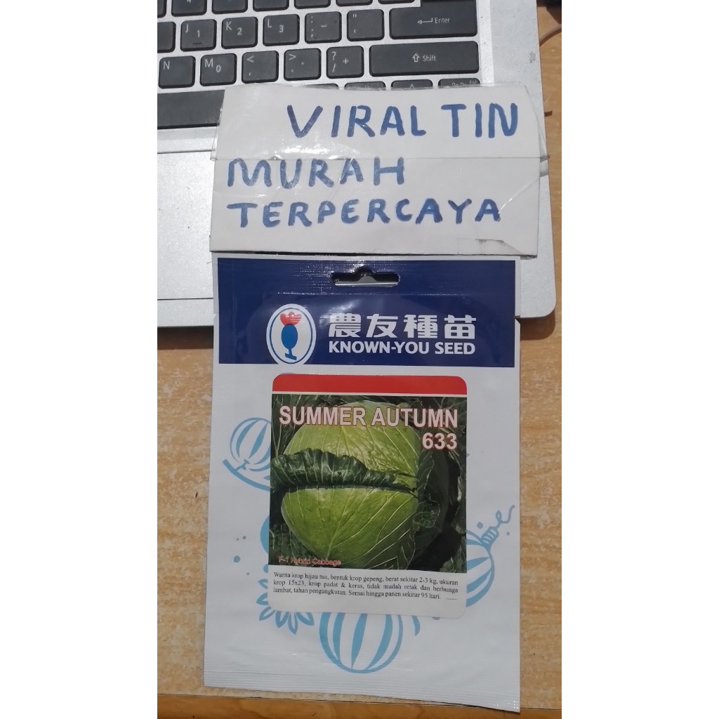 bibit / benih kubis summer autumn 10 gr