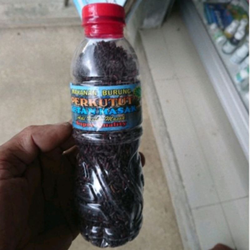 ketan hitam utk perkutut