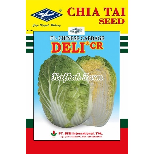Benih 25 Biji Sawi Putih DELI CR F1