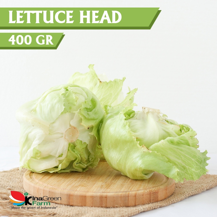 

Inagreen Farm Bandung Lettuce Head Fresh