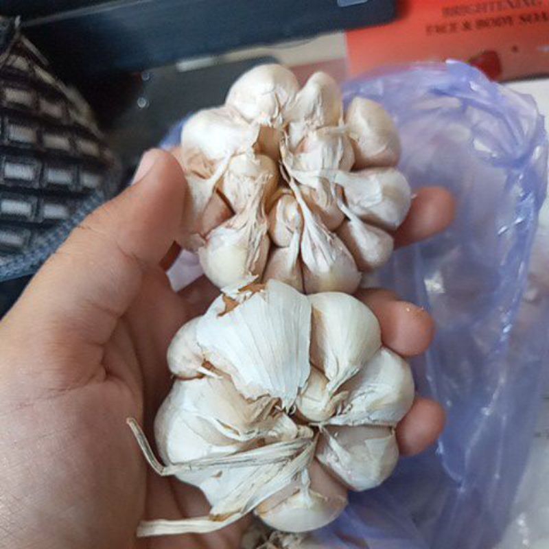 

bawang putih 1/4