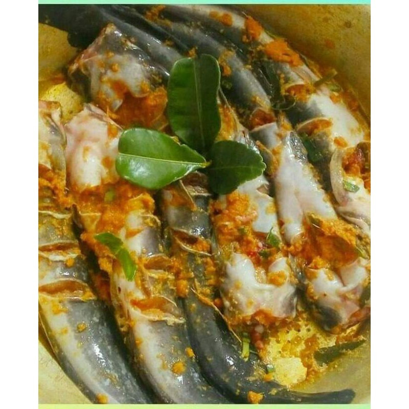 

lele bumbu kuning / lele marinasi bumbu kuning / lele siap masak / lele frozen marinasi / ikan lele
