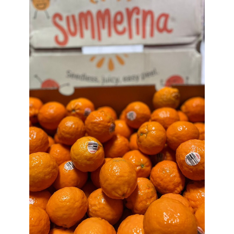 

jeruk summerina australia