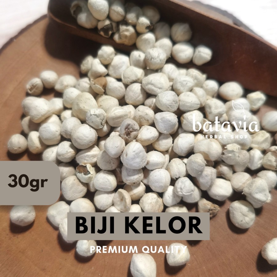 

Biji Kelor Kupas Moringa Seeds Kernel Kelor Premium Herbs Time - 30gr