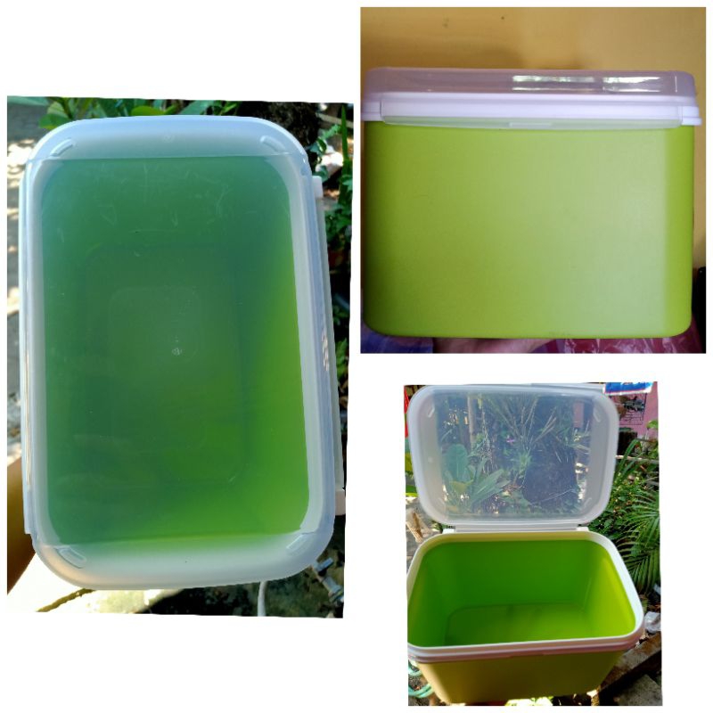 ezy keeper tupperware