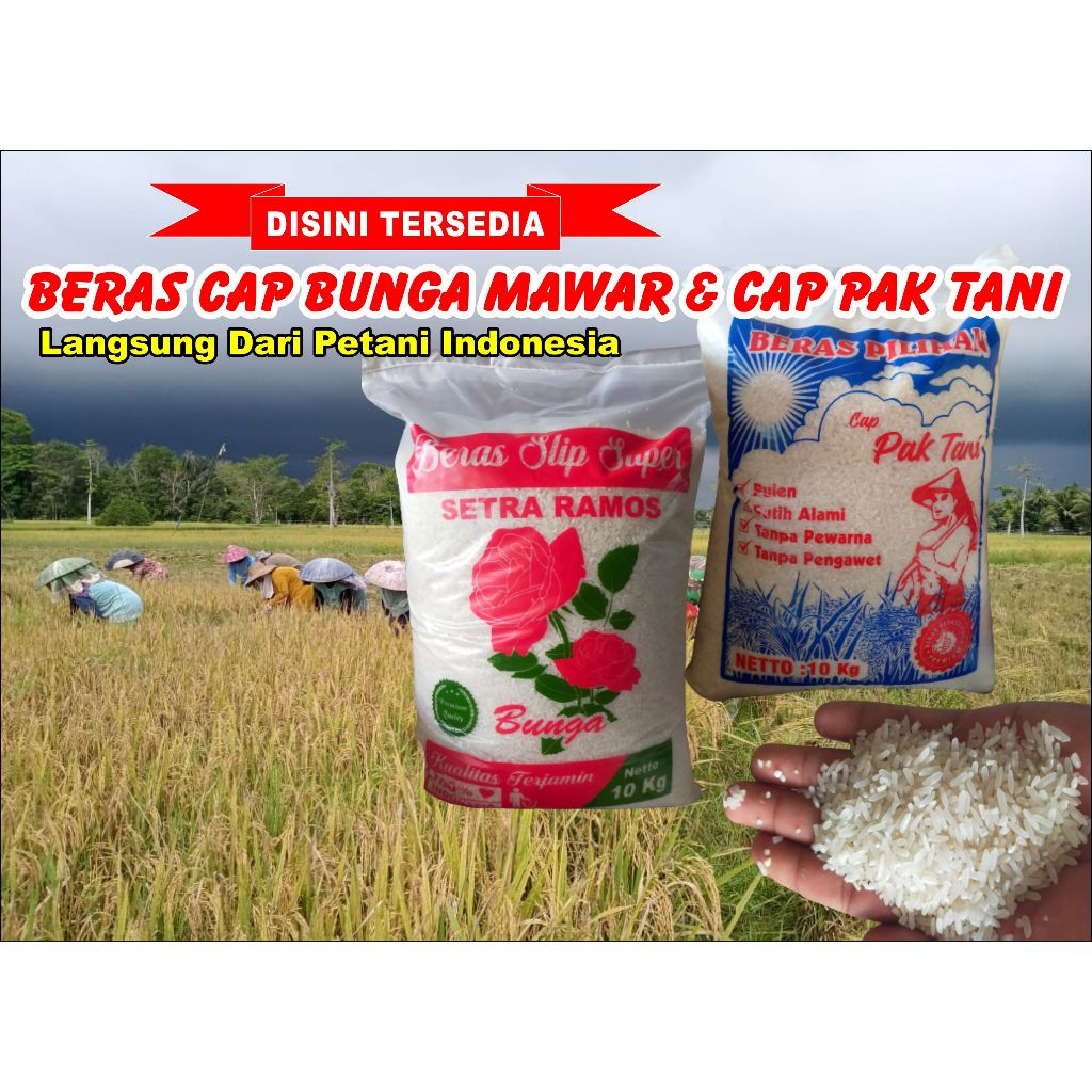 

Beras Cap Mawar 10kg | Beras Asli Langsung Dari Petani Padi