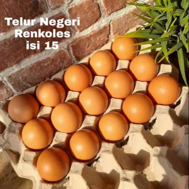 

Telur Negeri Renkoles isi 15 butir (0.96kg)