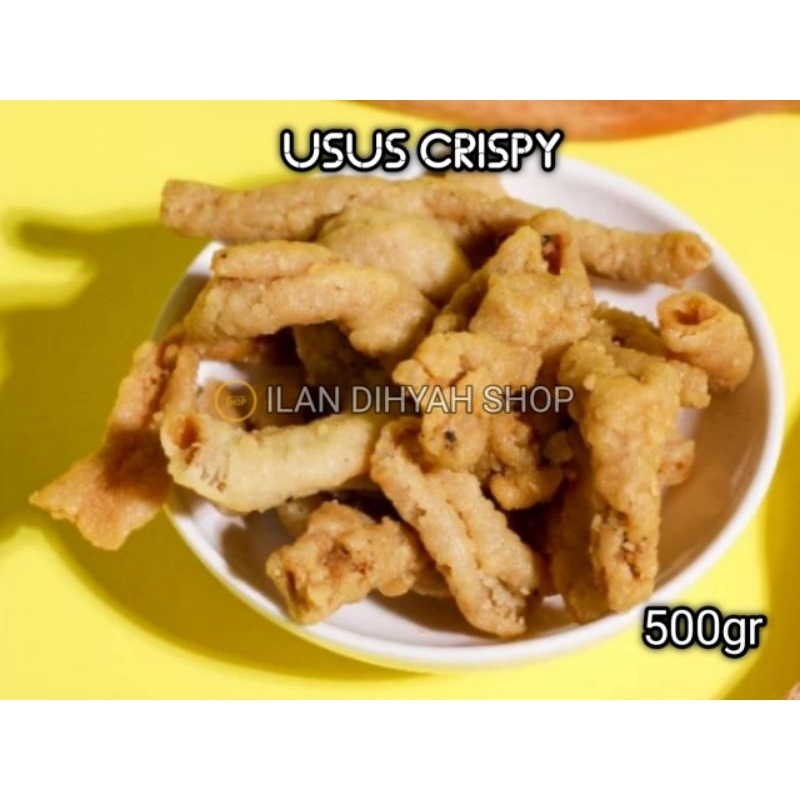 

ILAN DIHYAH SHOP - Keripik Usus Crispy 500gr