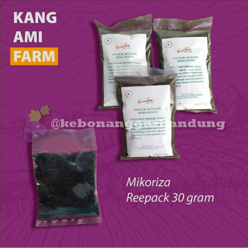 Pupuk mikoriza 30gr