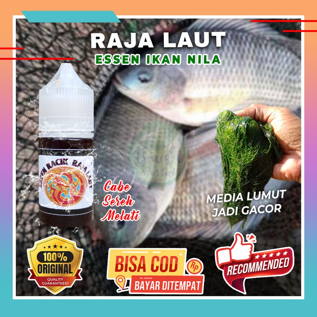 Essen Ikan Nila Media Lumut Raja Laut cocok untuk Umpan Nila Liar