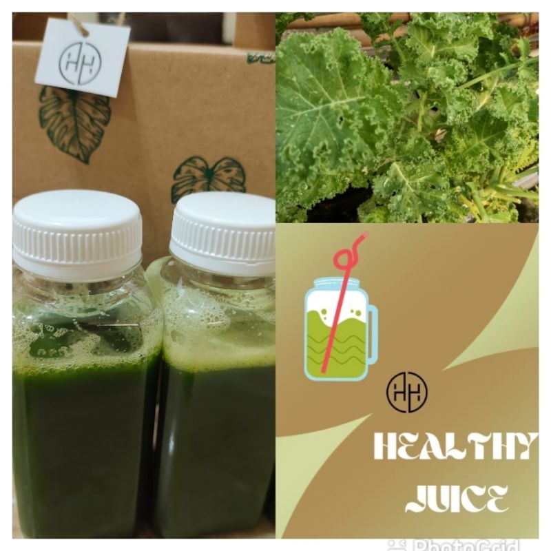 

JUICE KALE Cold Pressed 250ml | MURNI | 1 Lusin - 12 botol