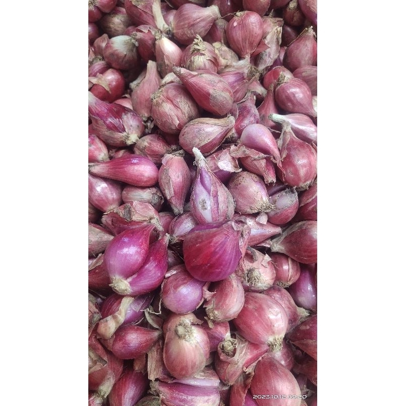 

Bawang Merah Brebes SUPER bukan wetan