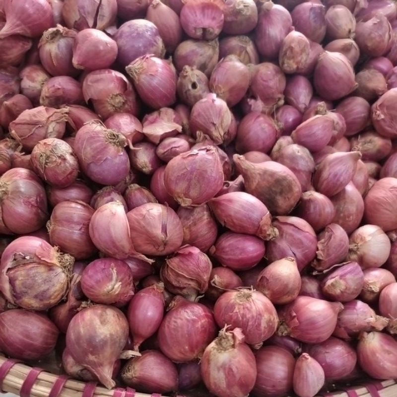 

Bawang Merah Berkwalitas Semarang (Ecer & Grosir)