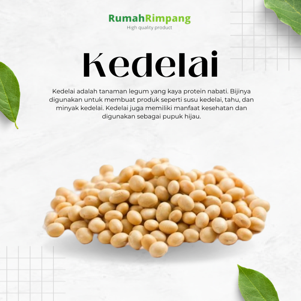

[BISA INSTAN] KACANG KEDELAI FRESH - KEMASAN 500 GR