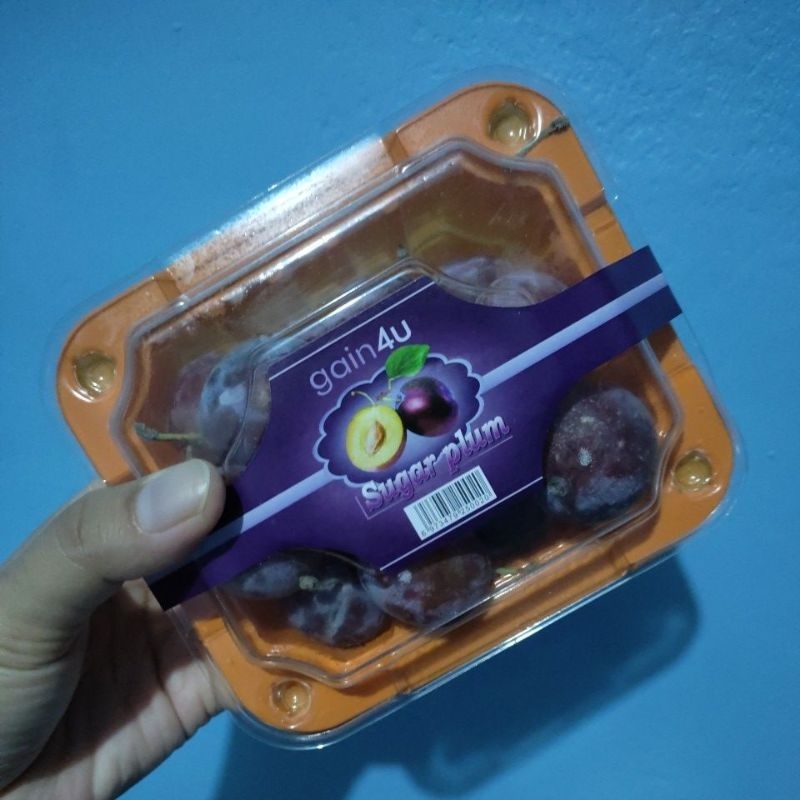 

buah plum