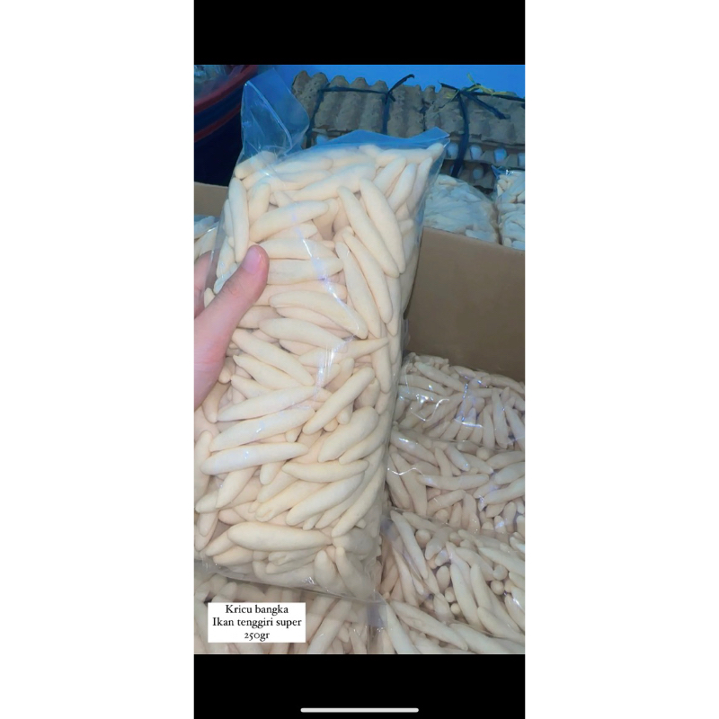 

kricu bangka super ikan tenggiri