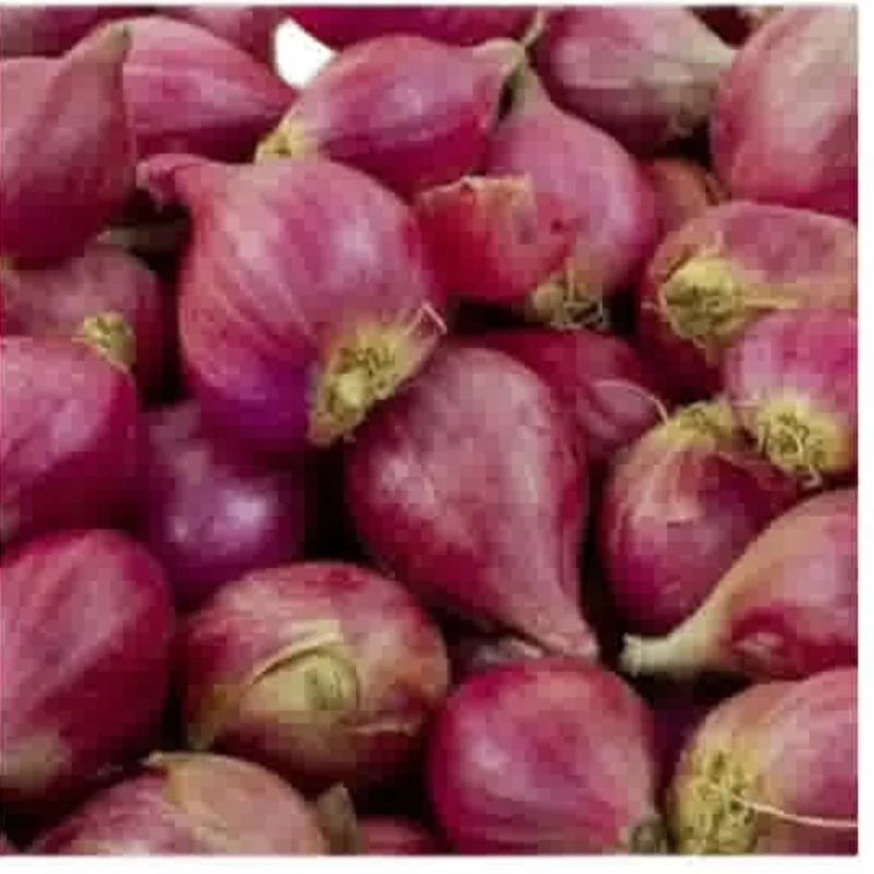 

BAWANG BREBES 1 KG