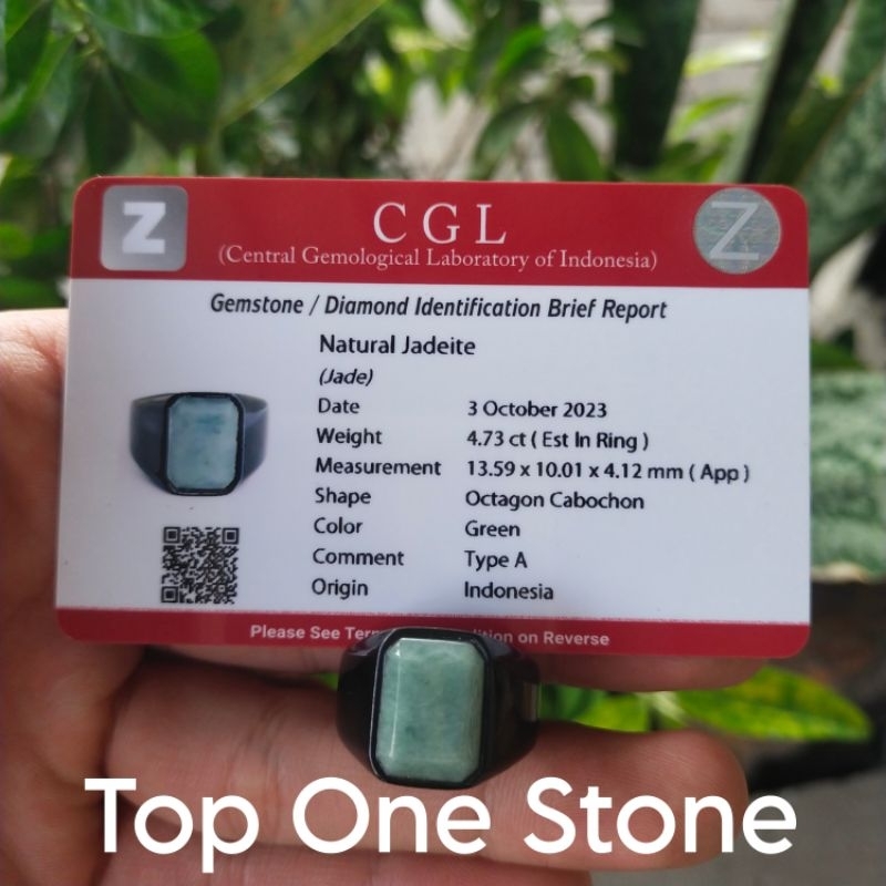 [TOS] Natural Giok Nabire Type A + Memo CGL