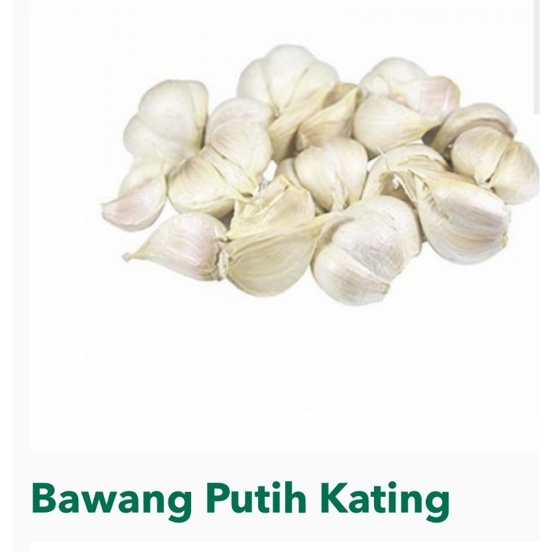 

Bawang Putih Kating Super